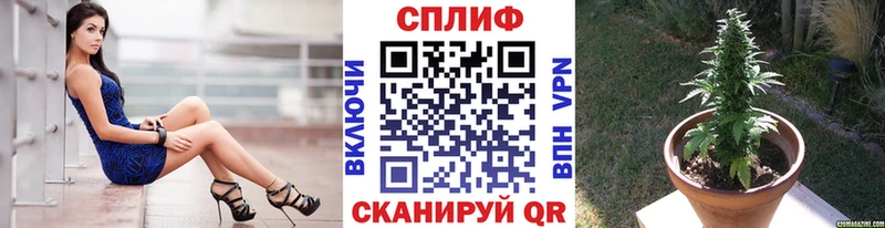 дарнет шоп  Югорск  Шишки марихуана сатива 